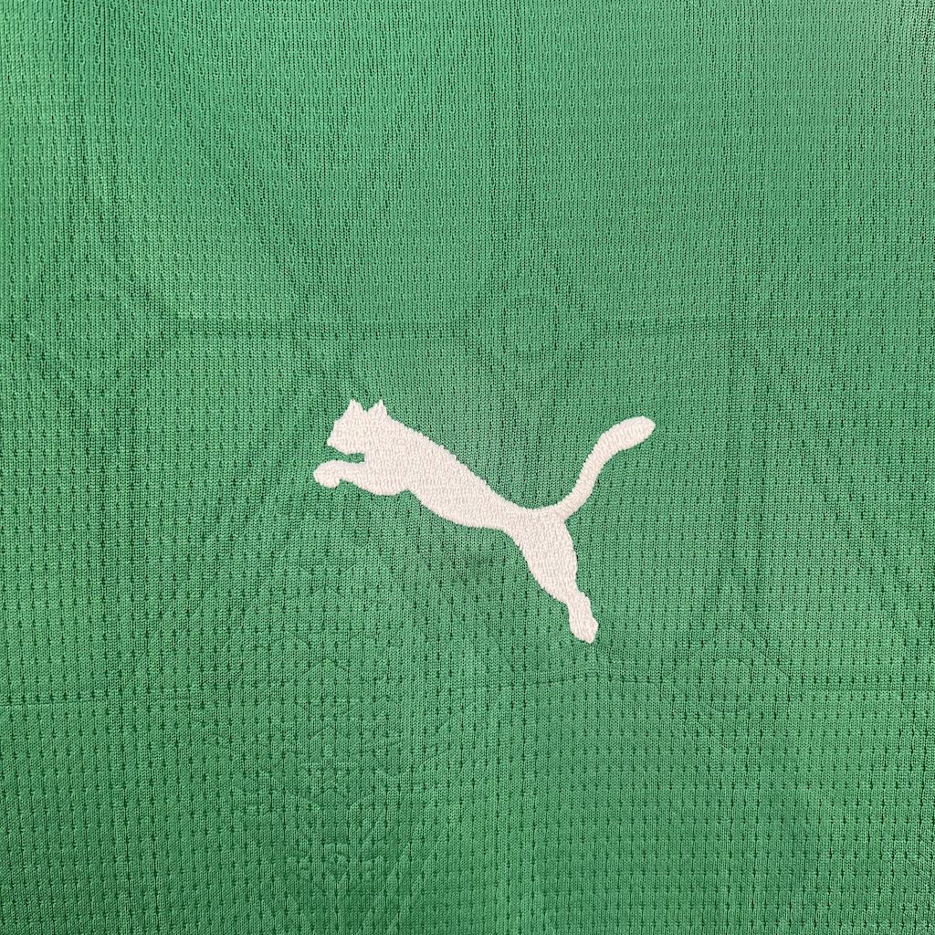 PALMEIRAS HOME 25/26 WOMAN