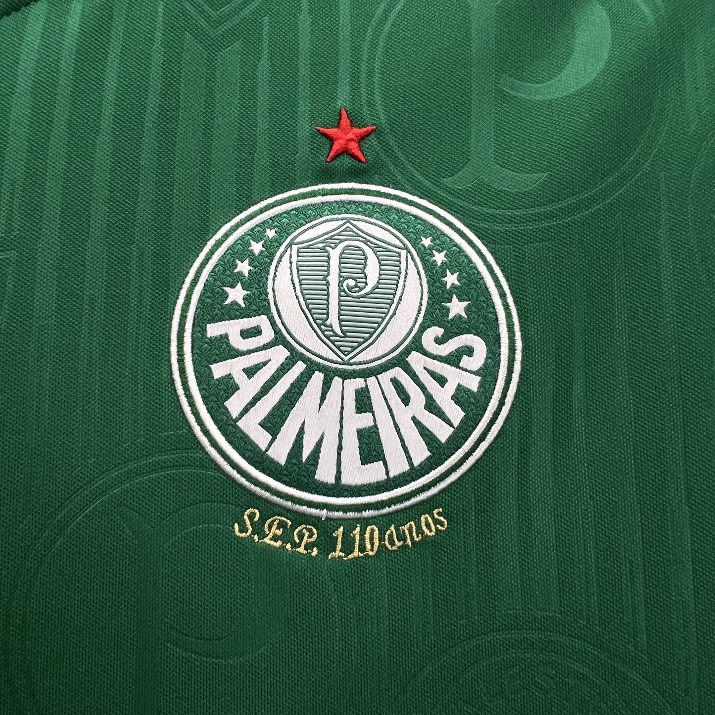 PALMEIRAS HOME 23/24 WOMAN