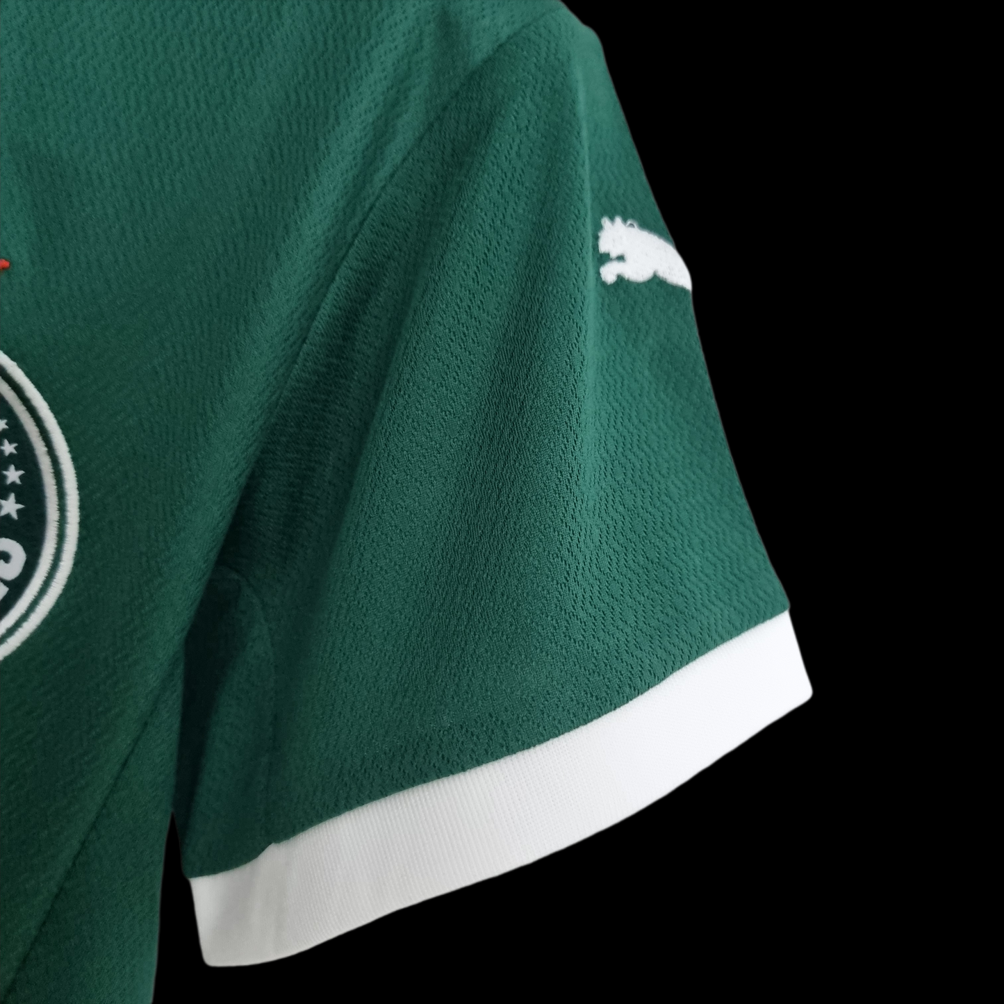 PALMEIRAS HOME 22/23 WOMAN