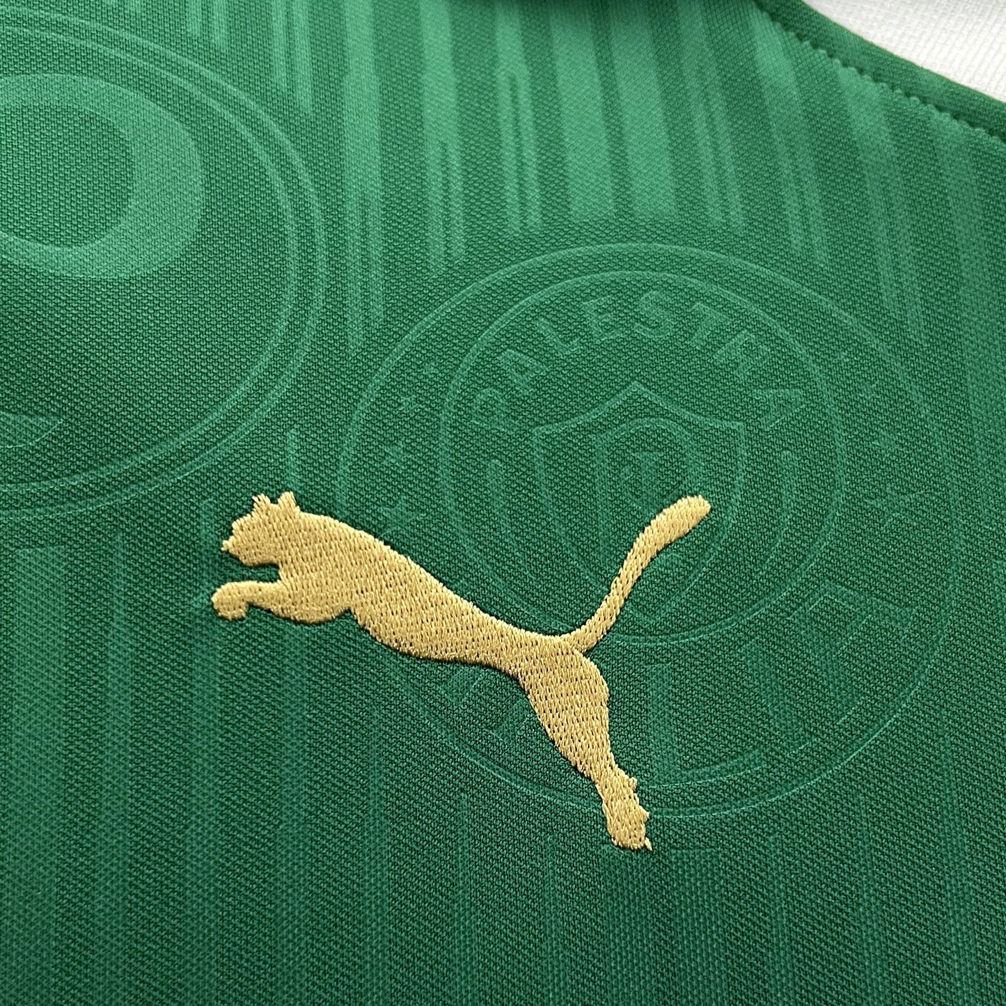 PALMEIRAS HOME 23/24 WOMAN