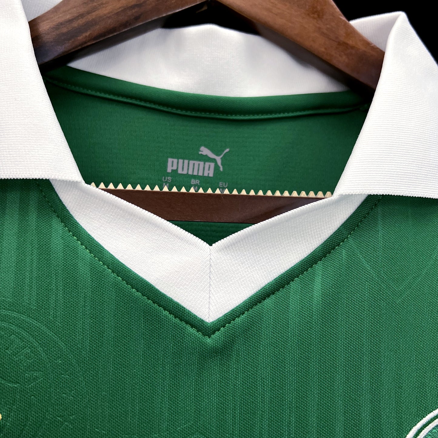 PALMEIRAS HOME 23/24 WOMAN